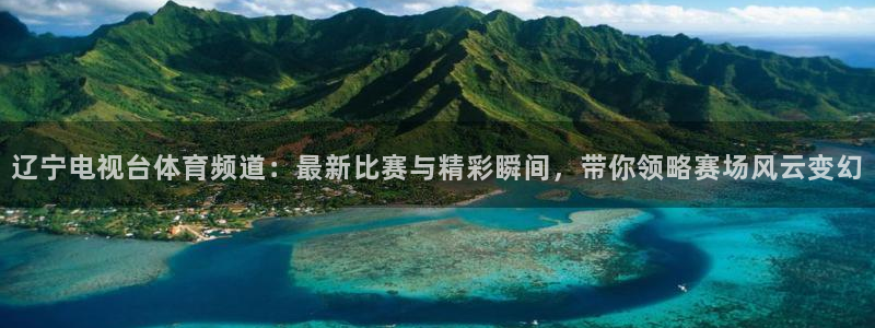 辽宁电视台体育频道：最新比赛与精彩瞬间，带你领略赛场风云变幻