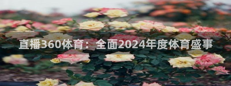 直播360体育：全面2024年度体育盛事